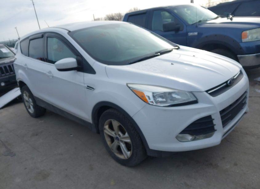2014 Ford Escape SE (VIN 1FMCU9G98EUD30295) main photo