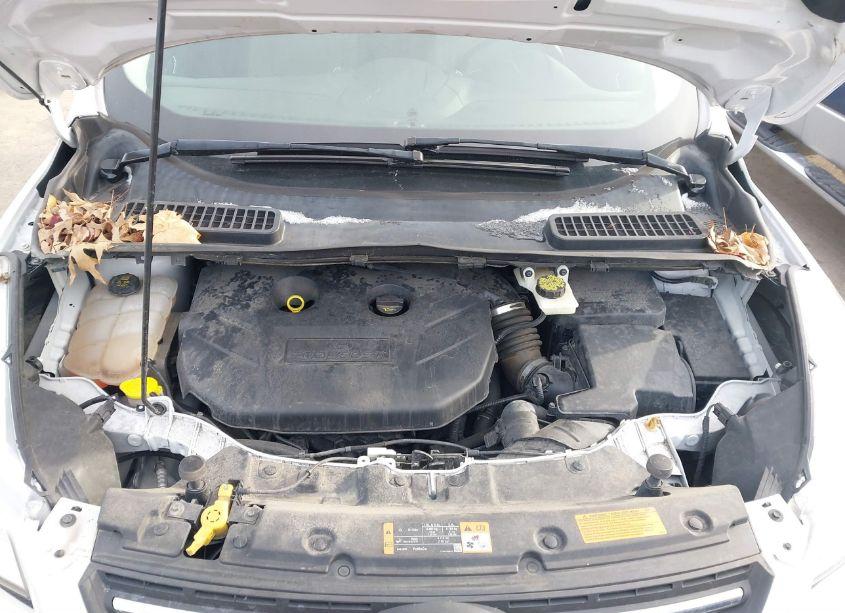 Photo 10 of 2014 Ford Escape SE (VIN 1FMCU9G98EUD30295)