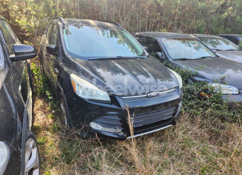 2014 Ford Escape (VIN 1FMCU9G98EUD59893) main photo