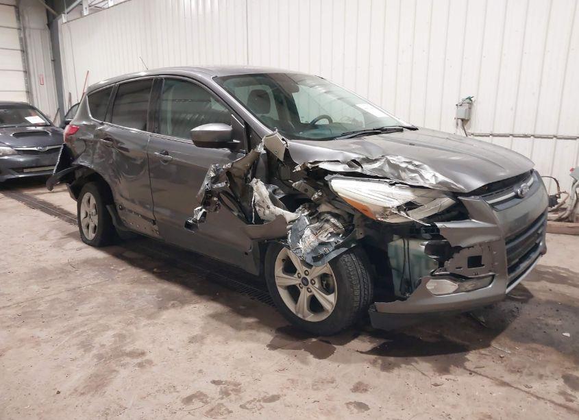 2014 Ford Escape SE (VIN 1FMCU9G98EUE01561) main photo