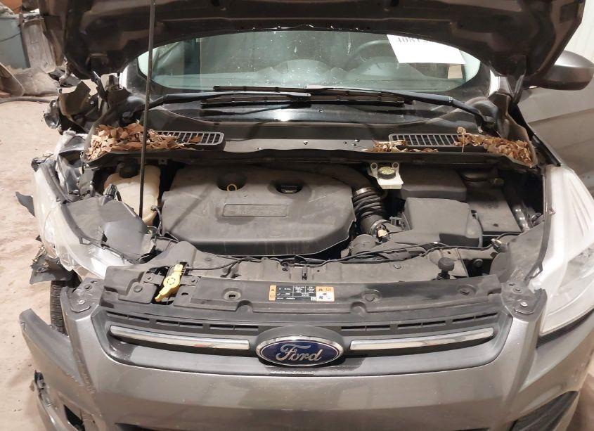 Photo 10 of 2014 Ford Escape SE (VIN 1FMCU9G98EUE01561)