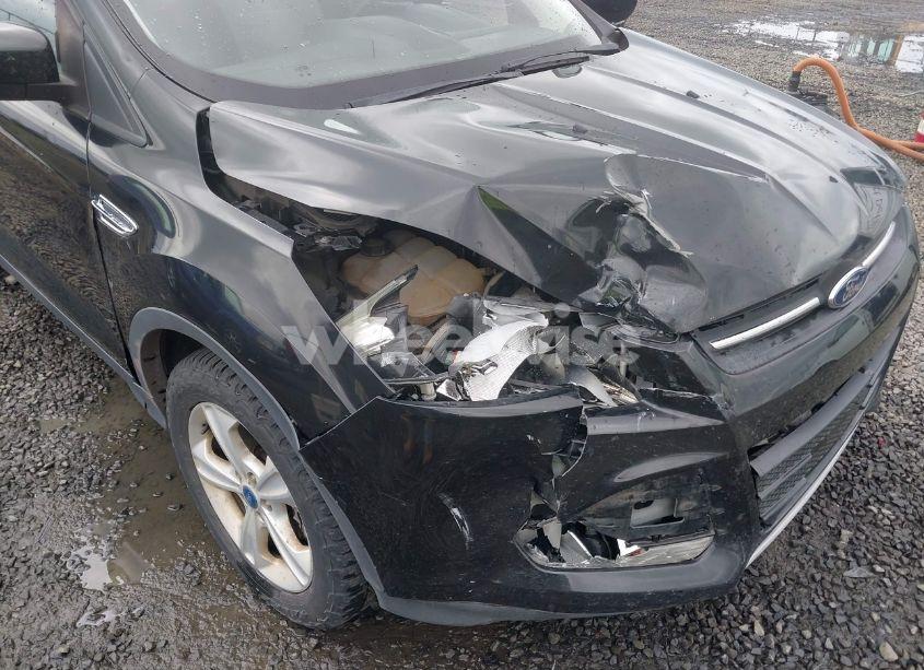 Photo 6 of 2015 Ford Escape SE (VIN 1FMCU9G98FUA26059)