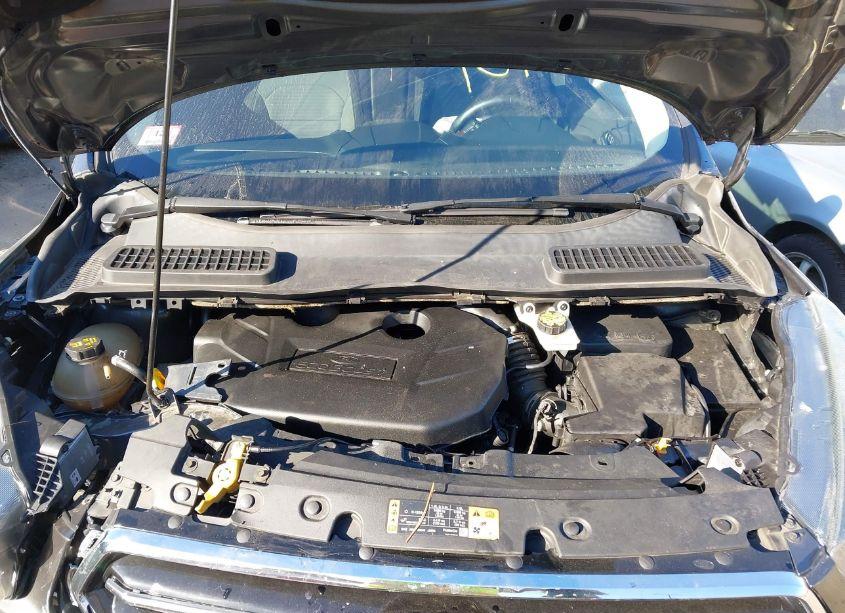 Photo 10 of 2017 Ford Escape SE (VIN 1FMCU9G98HUA03075)