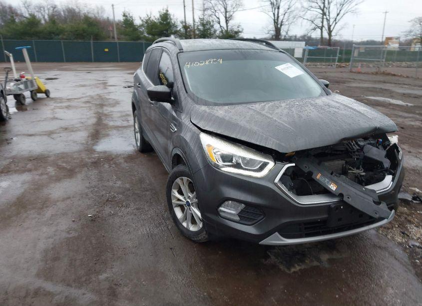 2017 Ford Escape SE (VIN 1FMCU9G98HUE44401) main photo