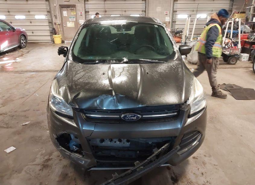 Photo 12 of 2015 Ford Escape SE (VIN 1FMCU9G99FUC81075)