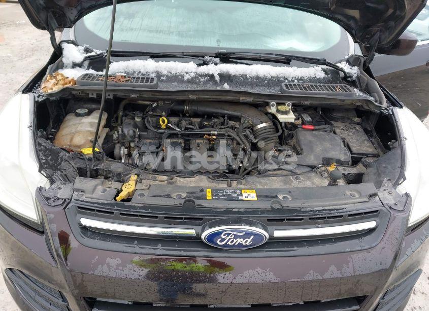 Photo 10 of 2013 Ford Escape SE (VIN 1FMCU9G9XDUB80494)