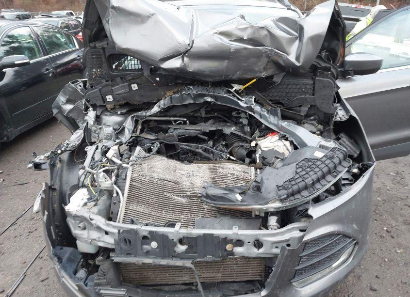 Photo 6 of 2013 Ford Escape SE (VIN 1FMCU9G9XDUC18967)