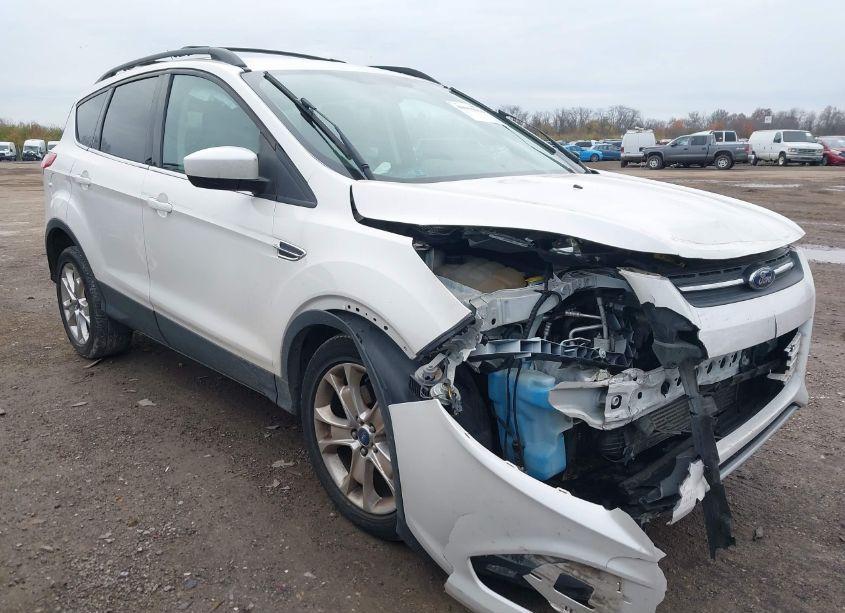 2013 Ford Escape SE (VIN 1FMCU9G9XDUC22095) main photo