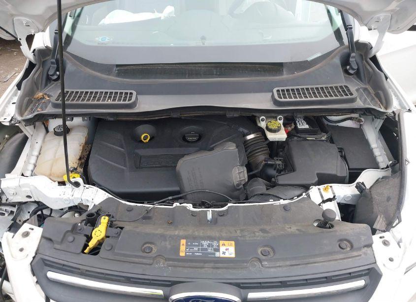 Photo 10 of 2013 Ford Escape SE (VIN 1FMCU9G9XDUC22095)