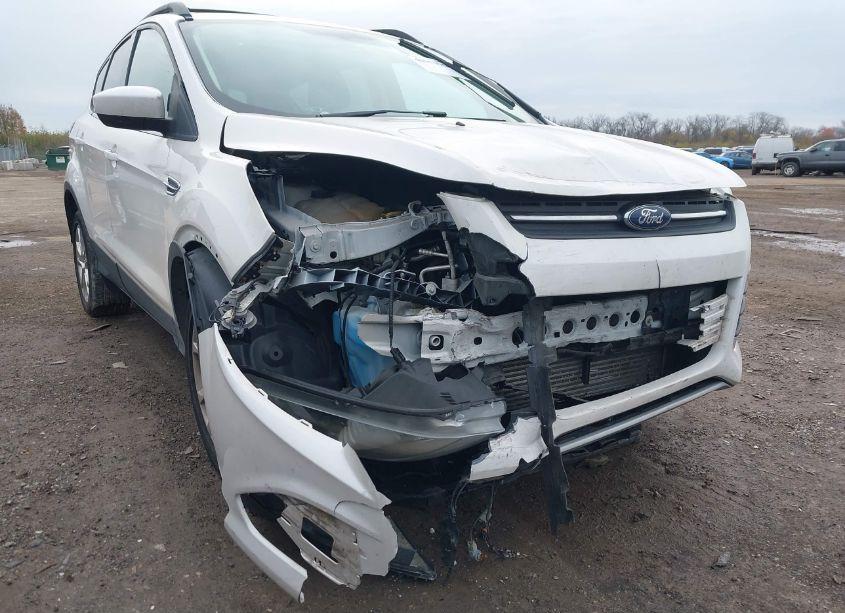 Photo 6 of 2013 Ford Escape SE (VIN 1FMCU9G9XDUC22095)