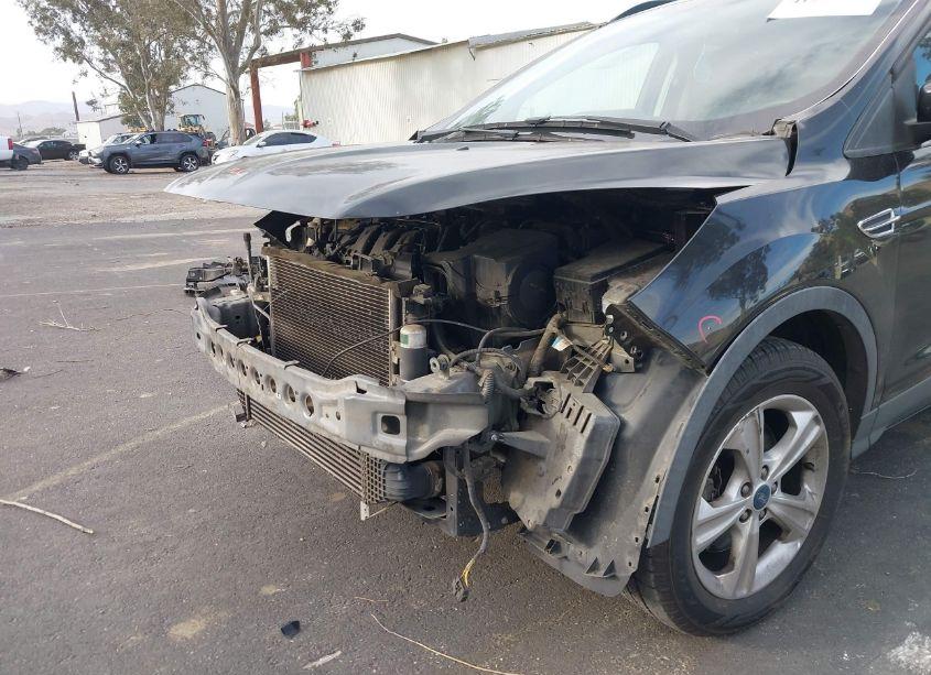 Photo 14 of 2013 Ford Escape SE (VIN 1FMCU9G9XDUD12380)