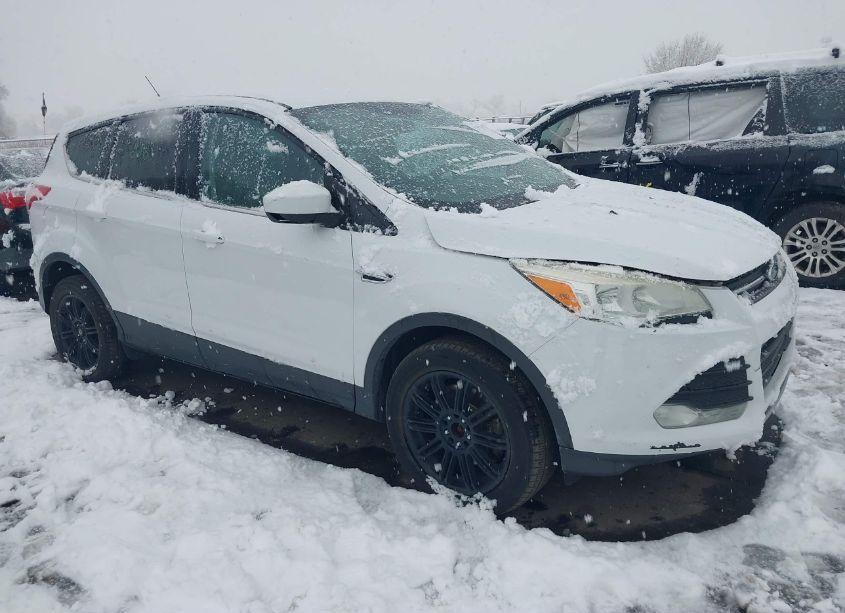 2013 Ford Escape SE (VIN 1FMCU9G9XDUD57447) main photo