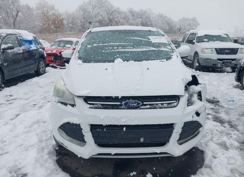 Photo 13 of 2013 Ford Escape SE (VIN 1FMCU9G9XDUD57447)