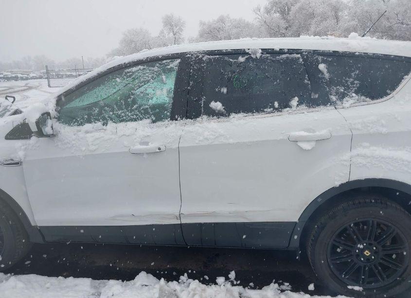 Photo 15 of 2013 Ford Escape SE (VIN 1FMCU9G9XDUD57447)