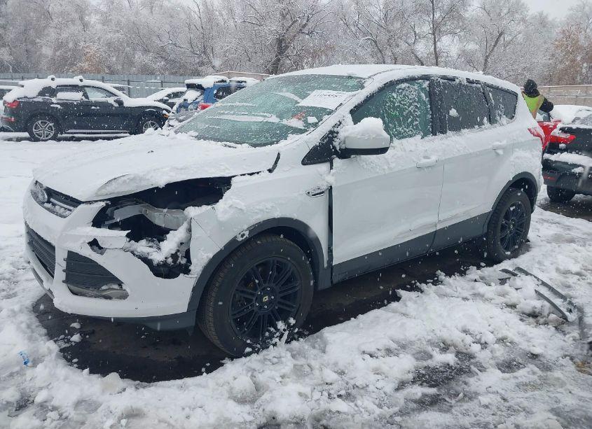 Photo 2 of 2013 Ford Escape SE (VIN 1FMCU9G9XDUD57447)