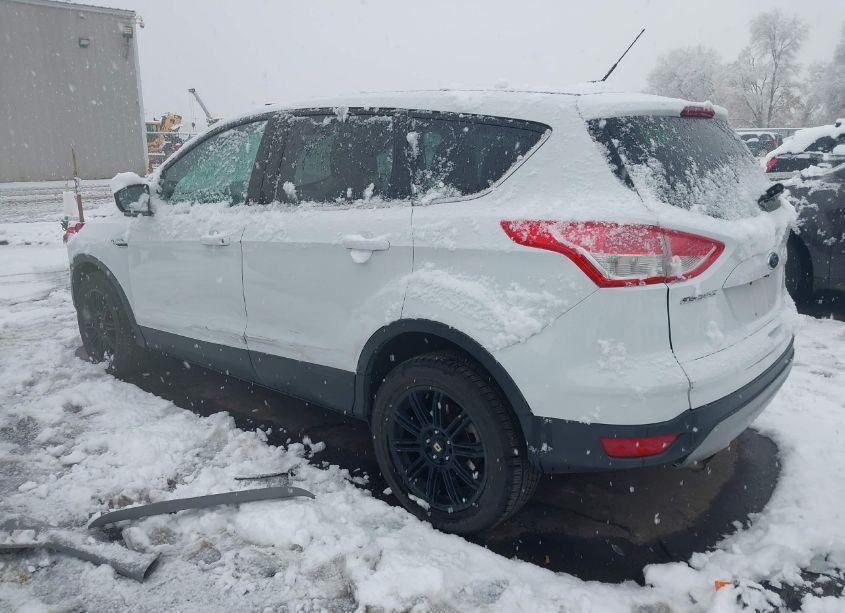 Photo 3 of 2013 Ford Escape SE (VIN 1FMCU9G9XDUD57447)