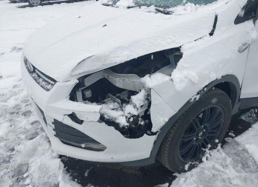 Photo 6 of 2013 Ford Escape SE (VIN 1FMCU9G9XDUD57447)