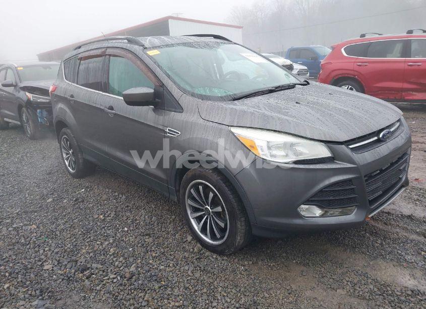 2014 Ford Escape SE (VIN 1FMCU9G9XEUA12209) main photo