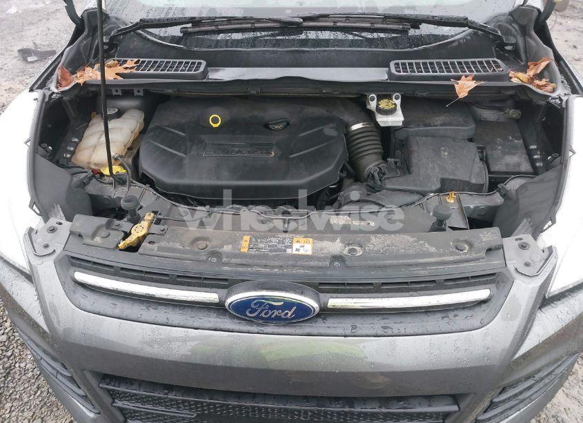 Photo 10 of 2014 Ford Escape SE (VIN 1FMCU9G9XEUA12209)