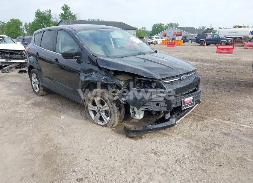 2014 Ford Escape SE (VIN 1FMCU9G9XEUA15367) main photo