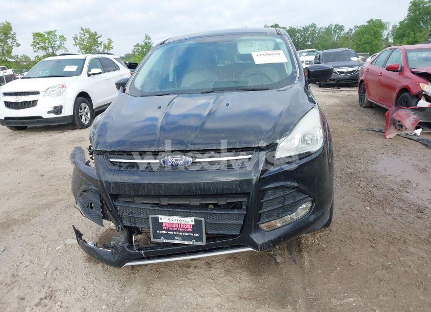 Photo 12 of 2014 Ford Escape SE (VIN 1FMCU9G9XEUA15367)