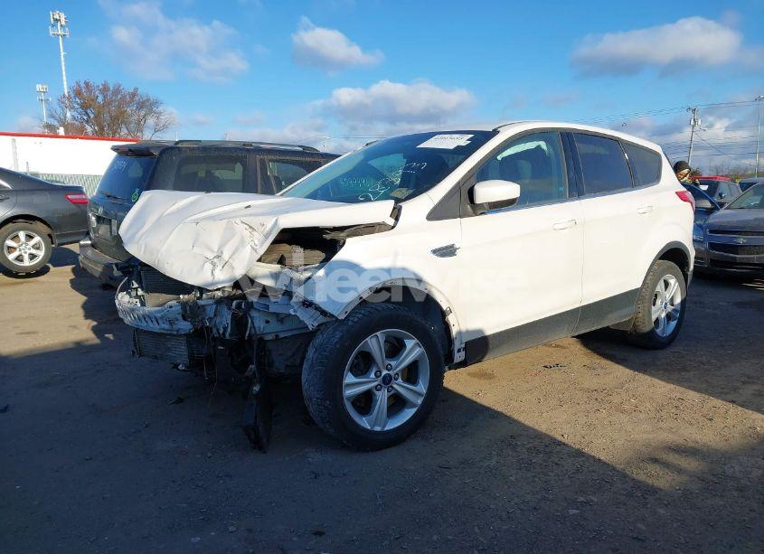 Photo 2 of 2014 Ford Escape SE (VIN 1FMCU9G9XEUA28393)