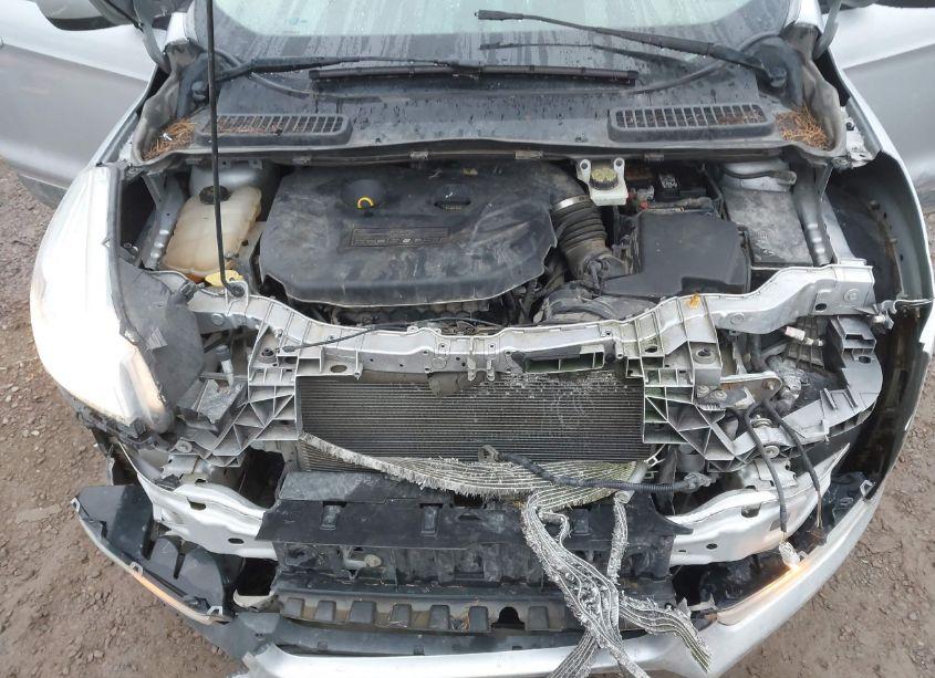 Photo 10 of 2014 Ford Escape SE (VIN 1FMCU9G9XEUB48288)