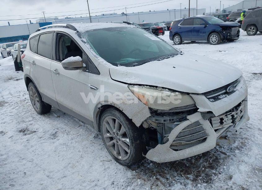 2014 Ford Escape SE (VIN 1FMCU9G9XEUC57236) main photo