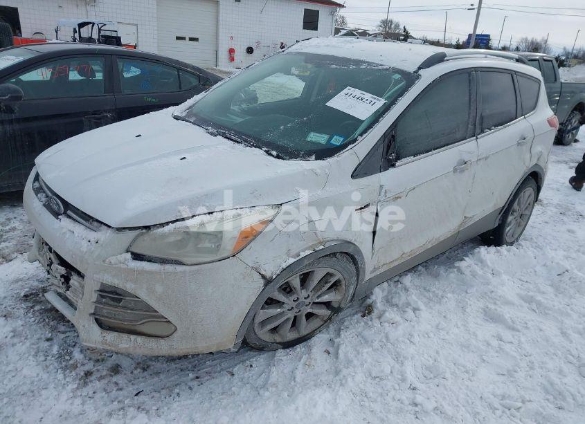 Photo 2 of 2014 Ford Escape SE (VIN 1FMCU9G9XEUC57236)