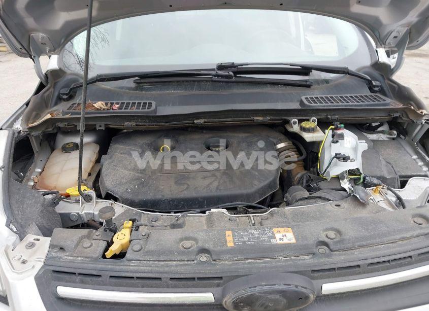 Photo 10 of 2014 Ford Escape SE (VIN 1FMCU9G9XEUD08119)