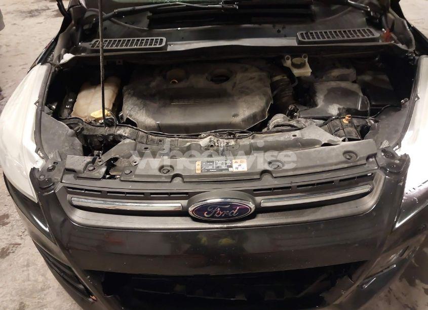 Photo 10 of 2014 Ford Escape SE (VIN 1FMCU9G9XEUD67400)