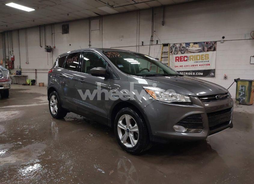 2014 Ford Escape SE (VIN 1FMCU9G9XEUD69423) main photo
