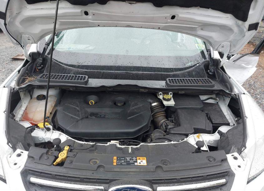 Photo 10 of 2015 Ford Escape SE (VIN 1FMCU9G9XFUA83685)