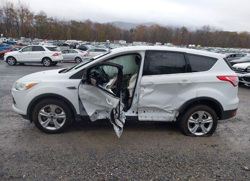 Photo 14 of 2015 Ford Escape SE (VIN 1FMCU9G9XFUA83685)