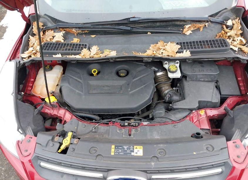 Photo 10 of 2016 Ford Escape SE (VIN 1FMCU9G9XGUC03504)