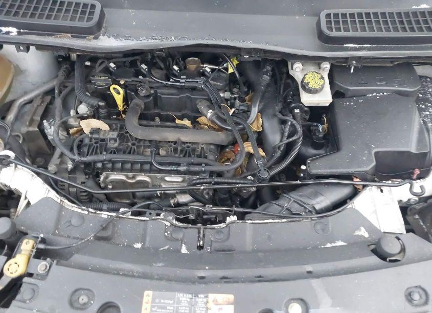 Photo 10 of 2017 Ford Escape SE (VIN 1FMCU9GD0HUD09207)