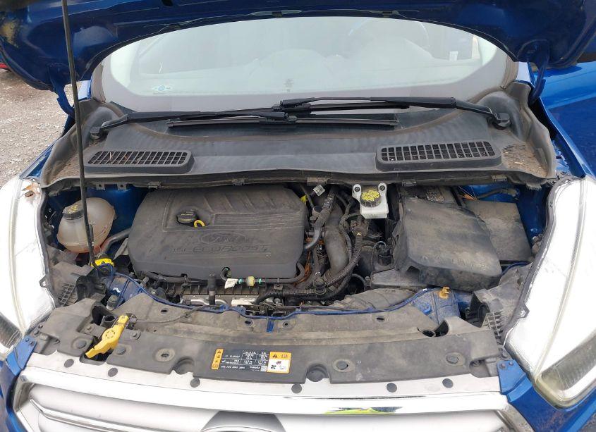 Photo 10 of 2017 Ford Escape SE (VIN 1FMCU9GD0HUE23000)