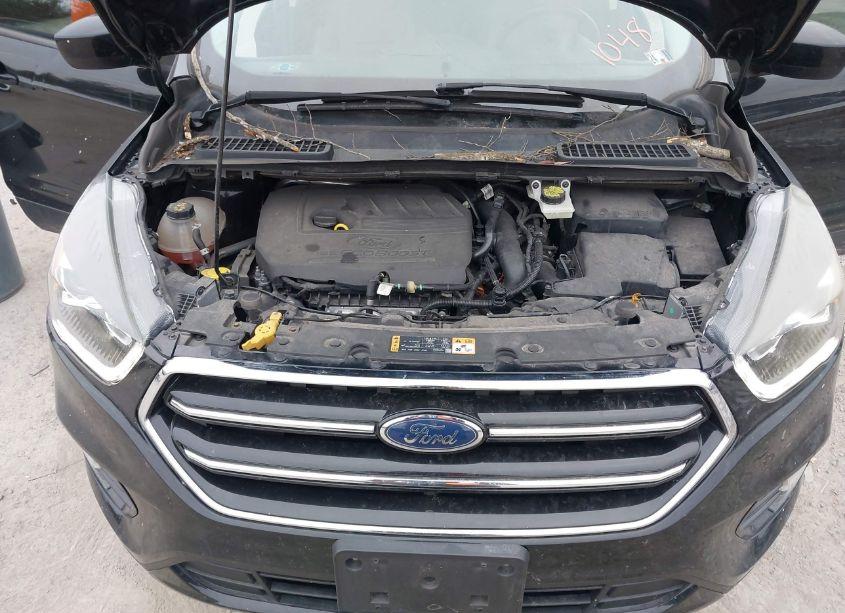 Photo 10 of 2018 Ford Escape SE (VIN 1FMCU9GD0JUA51048)