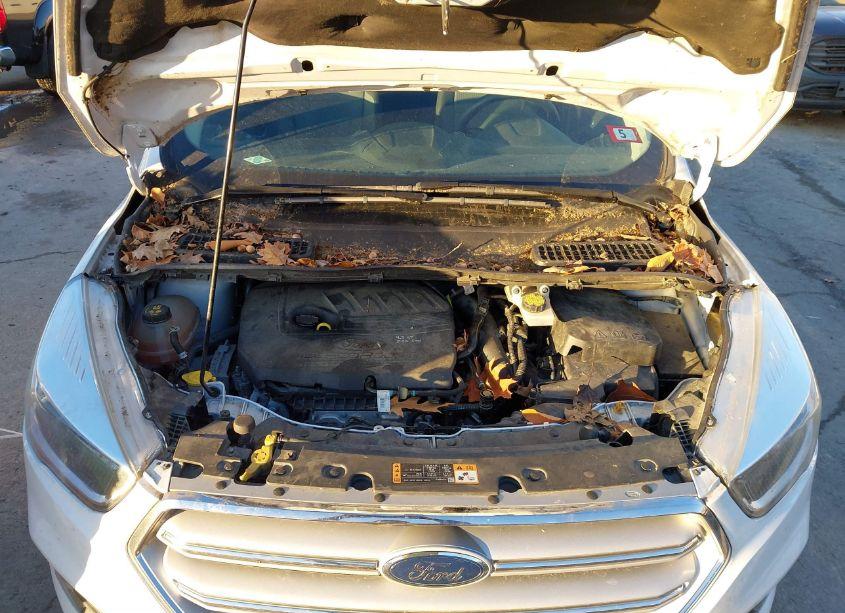 Photo 10 of 2018 Ford Escape SE (VIN 1FMCU9GD0JUB00992)