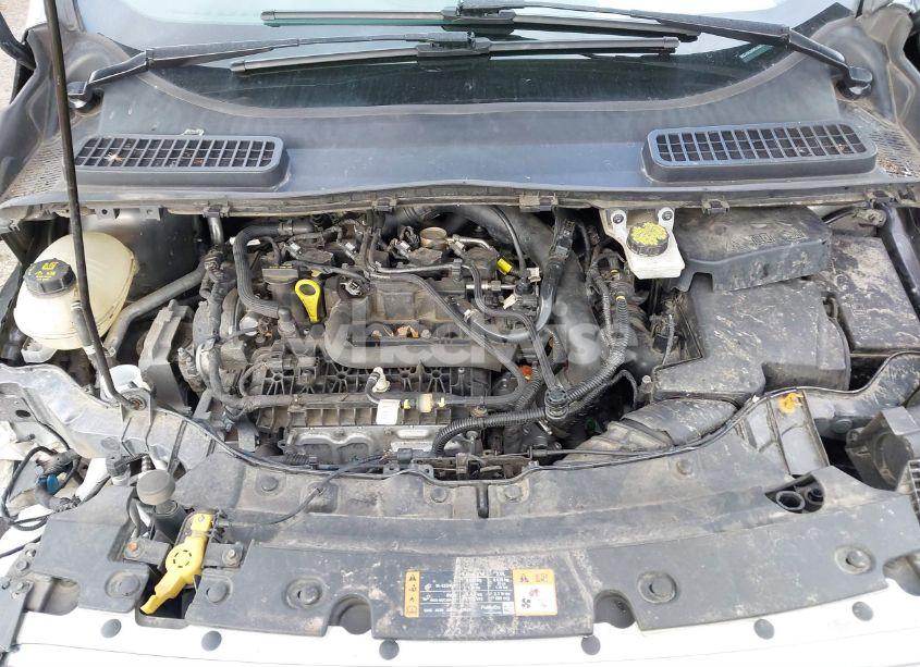 Photo 10 of 2019 Ford Escape SE (VIN 1FMCU9GD0KUA00554)