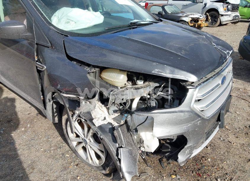 Photo 12 of 2019 Ford Escape SE (VIN 1FMCU9GD0KUA00554)