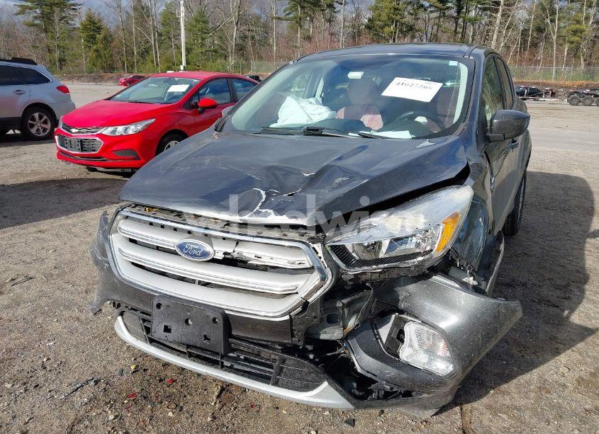 Photo 6 of 2019 Ford Escape SE (VIN 1FMCU9GD0KUA00554)