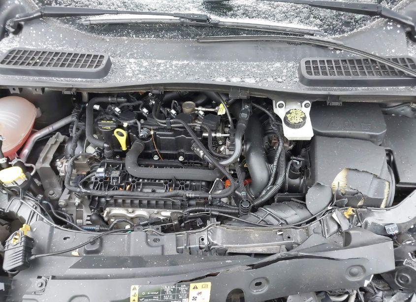 Photo 10 of 2019 Ford Escape SE (VIN 1FMCU9GD0KUB09869)