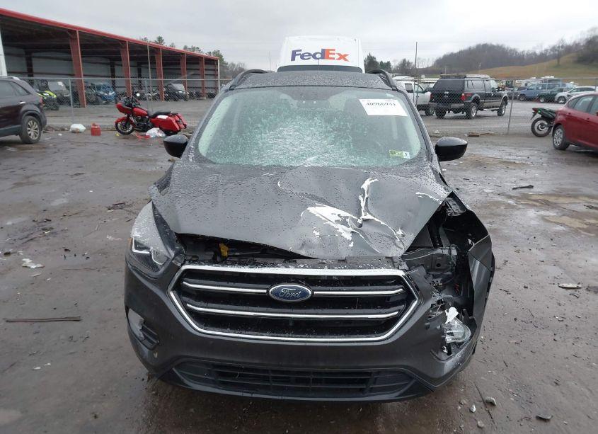 Photo 13 of 2019 Ford Escape SE (VIN 1FMCU9GD0KUB09869)