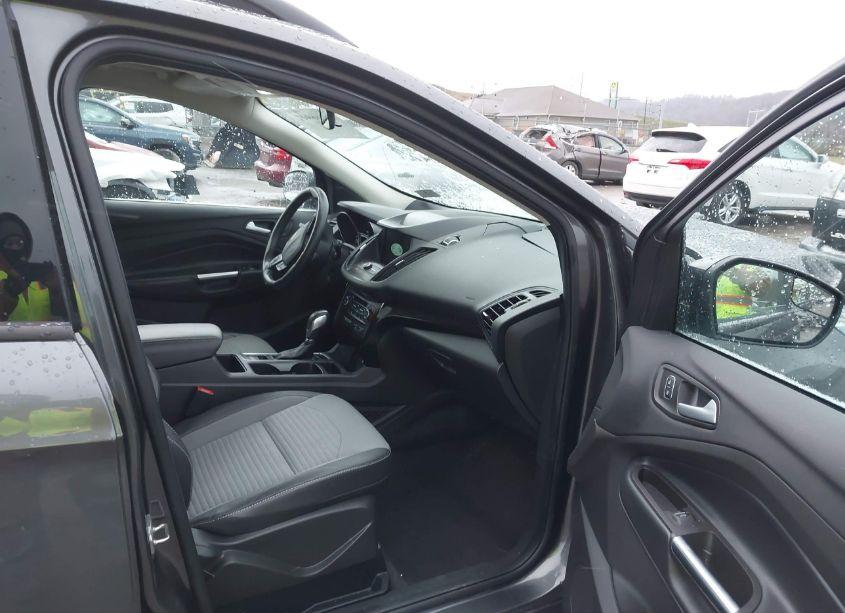 Photo 5 of 2019 Ford Escape SE (VIN 1FMCU9GD0KUB09869)