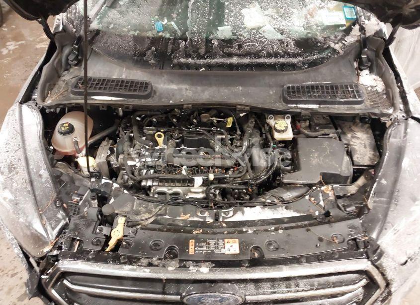 Photo 10 of 2019 Ford Escape SE (VIN 1FMCU9GD0KUB30432)