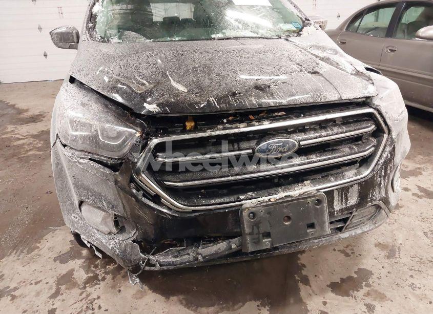 Photo 6 of 2019 Ford Escape SE (VIN 1FMCU9GD0KUB30432)