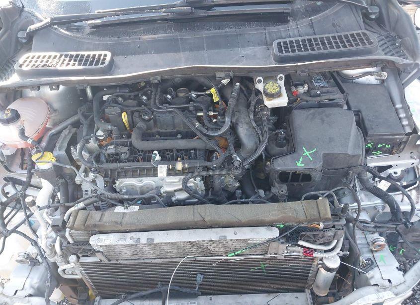 Photo 10 of 2019 Ford Escape SE (VIN 1FMCU9GD0KUB44640)