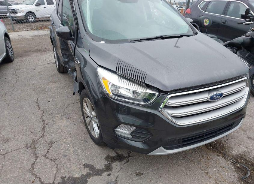 2019 Ford Escape SE (VIN 1FMCU9GD0KUB53662) main photo