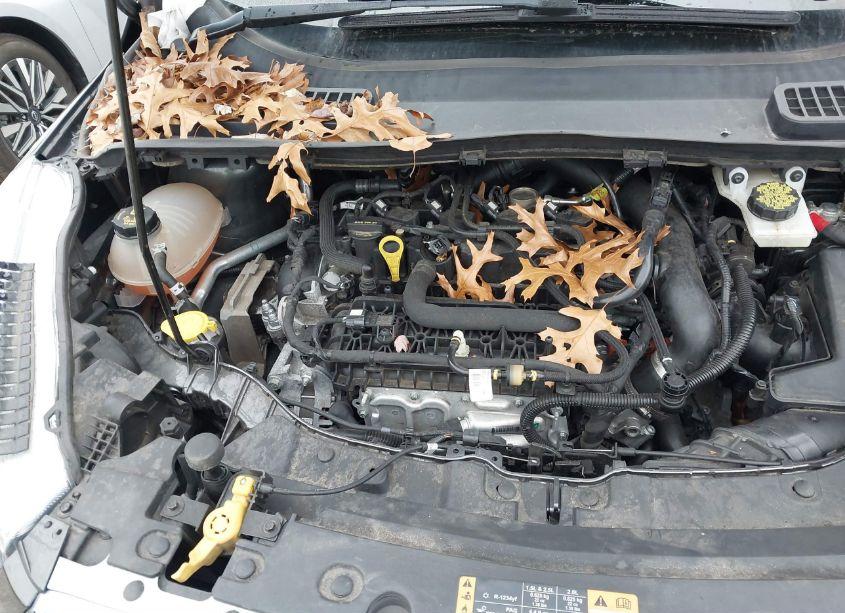 Photo 10 of 2019 Ford Escape SE (VIN 1FMCU9GD0KUB53662)